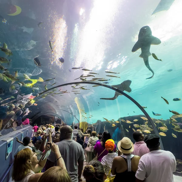 Interior of Georgia Aquarium with the people — Stock Photo, Image
