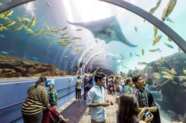 Georgia Aquarium iç insanlarla
