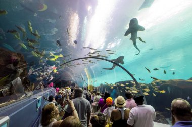Georgia Aquarium iç insanlarla