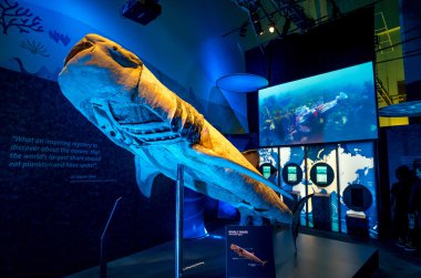 Georgia Aquarium iç insanlarla