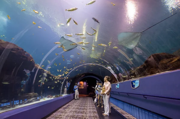 Interior of Georgia Aquarium with the people