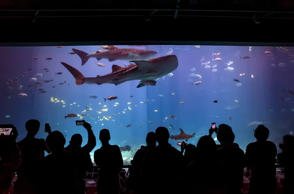 Interior de Georgia Acuario con la gente —  Fotos de Stock