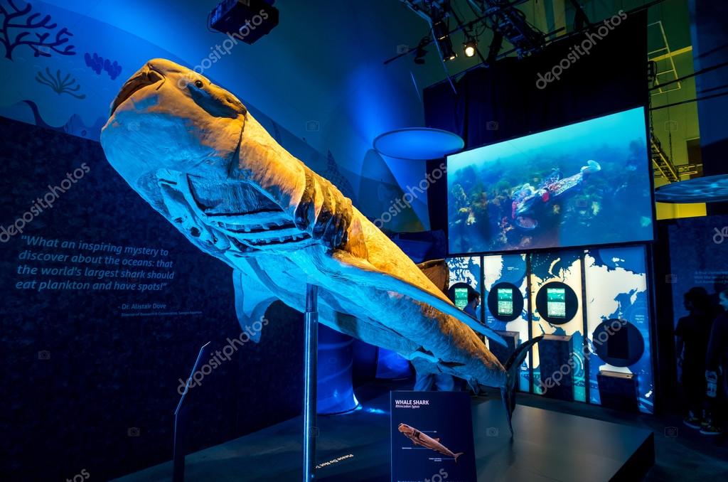 Interior of Aquarium with the people Stock Editorial Photo
