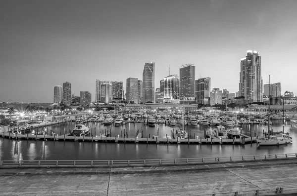 Miami city skyline panorama in schemerlicht — Stockfoto
