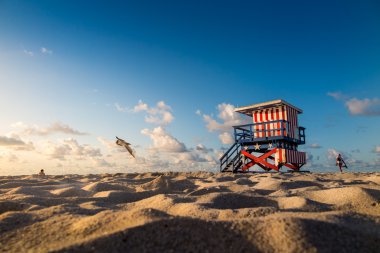 South Beach, Miami Beach renkli cankurtaran kulesi, 