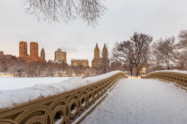Central Park - New York City yay köprüden sonra kar fırtınası