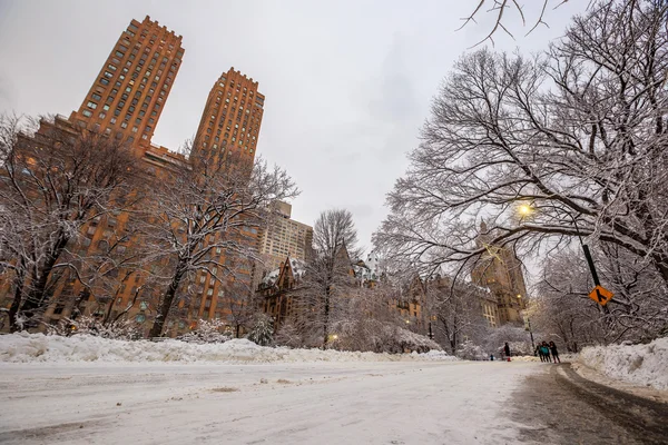 Central Park nach dem Schnee strom linus — Stockfoto