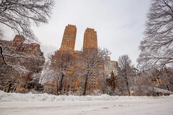 Central Park nach dem Schnee strom linus — Stockfoto