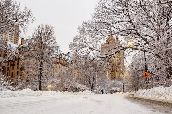 Central Park after the Snow Strom Linus — Stock Photo, Image