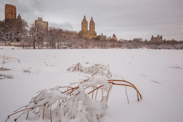 Central Park na de sneeuw Strom Linus — Stockfoto