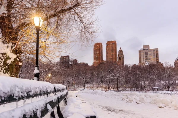 Parque Central después de la nieve Strom Linus — Foto de Stock