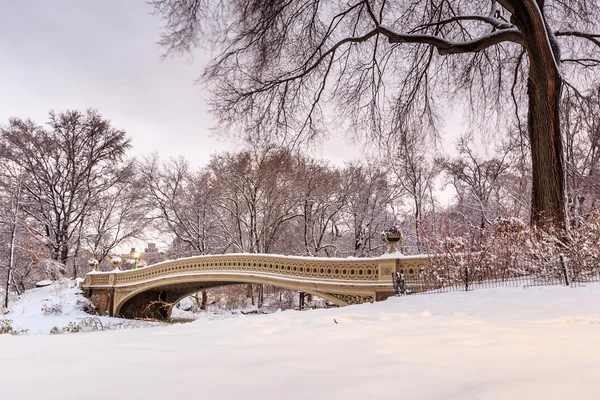 Central Park - New York City bow bron efter snöstorm — Stockfoto