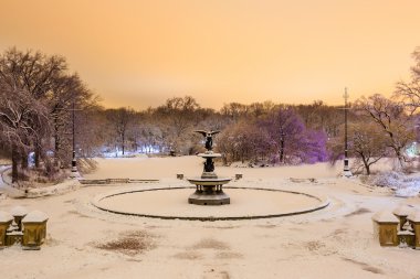 Bethesda çeşme Central Park New York kar fırtınası sonra 