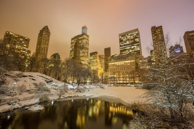 Central Park kar Strom Linus sonra