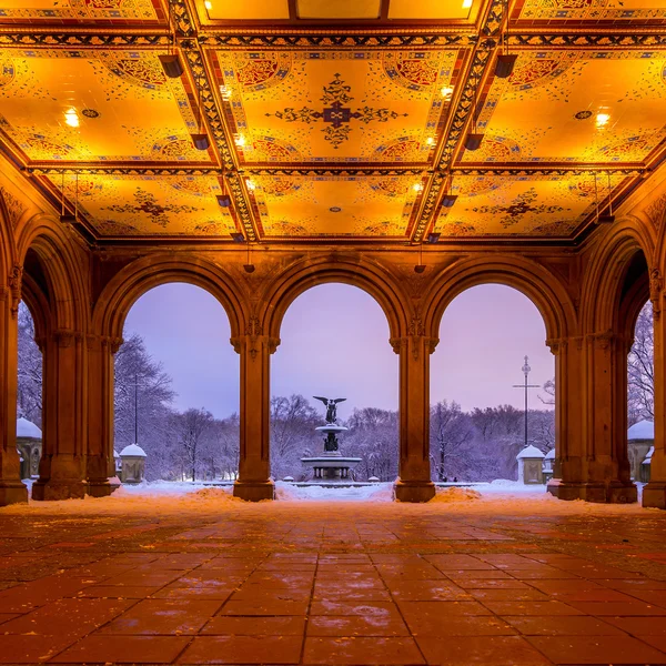 毕士大喷泉在后场暴风雪的纽约中央公园 — 图库照片