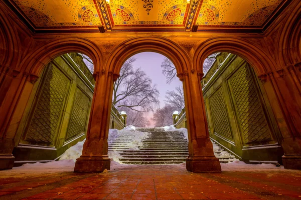 毕士大喷泉在后场暴风雪的纽约中央公园 — 图库照片