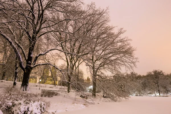 Central Park po śniegu Strom Linus — Zdjęcie stockowe