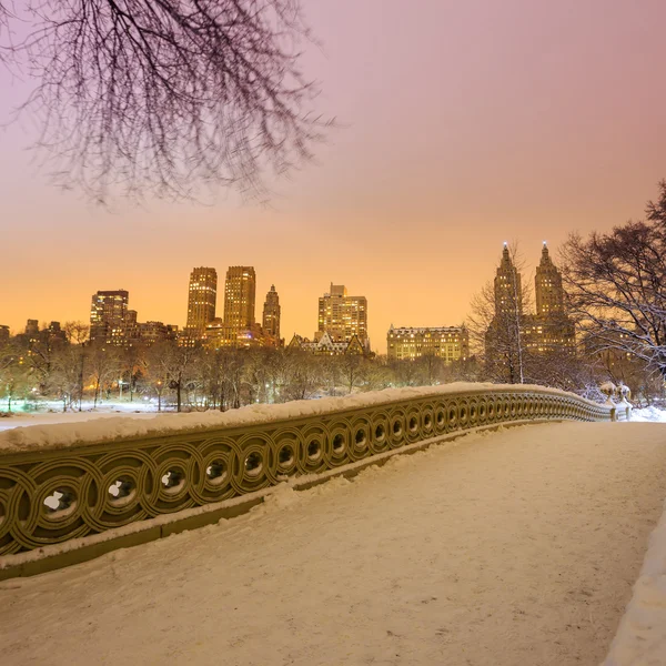 Central Park - New York City boog brug na sneeuwstorm — Stockfoto