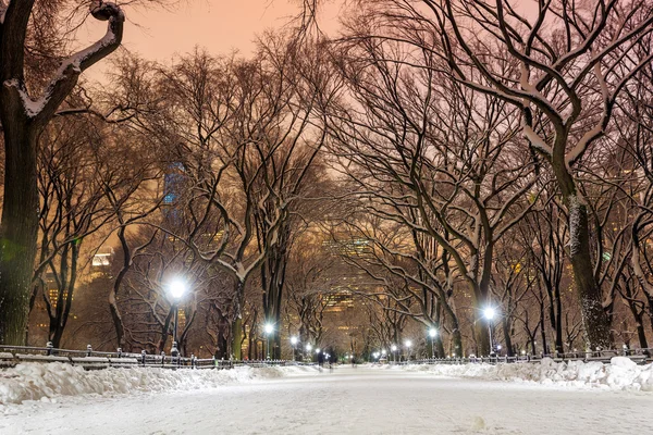 Central Park na de sneeuw Strom Linus — Stockfoto