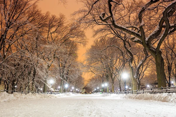 Central Park na de sneeuw Strom Linus — Stockfoto