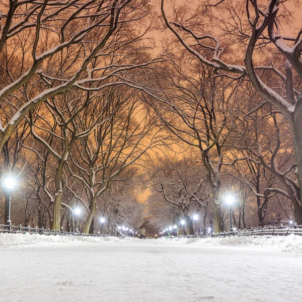 Central Park na de sneeuw Strom Linus — Stockfoto