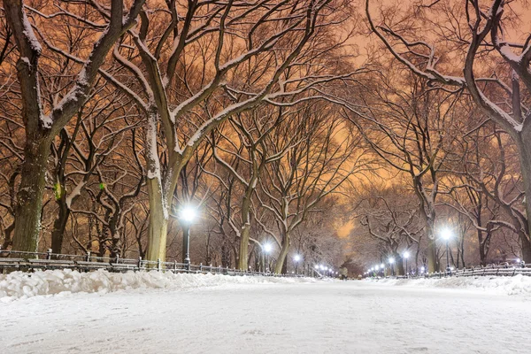 Central Park after the Snow Strom Linus — Stock Photo, Image
