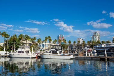 Long Beach Marina ve şehir manzarası, California.