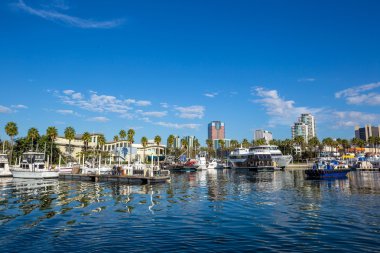 Long Beach Marina ve şehir manzarası, California.
