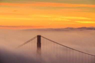 Düşük sis, Golden Gate Köprüsü San Francisco