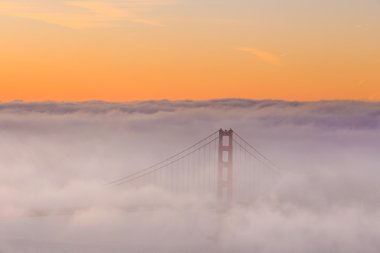 Düşük sis, Golden Gate Köprüsü San Francisco