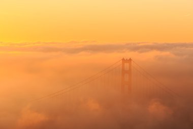 Düşük sis, Golden Gate Köprüsü San Francisco