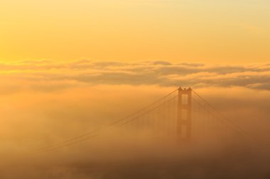 Düşük sis, Golden Gate Köprüsü San Francisco