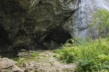 shulgan tash mağara. kapova Mağarası. Rusya'nın Güney ural Dağları'nda Başkurdistan Cumhuriyeti.
