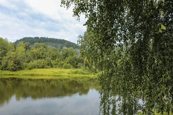 Nehir Manzaralı huş ağacı. Huş perde nehirde dağ