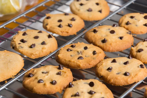 Galletas de chispas de chocolate recién horneadas en el refrigerador . Imágenes De Stock Sin Royalties Gratis