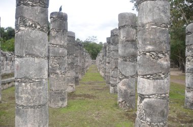 Bir Maya binasının kalıntılarından oluşan sütunlar