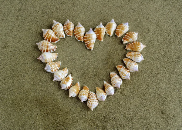 Cuore fatto di conchiglie sulla sabbia — Foto Stock