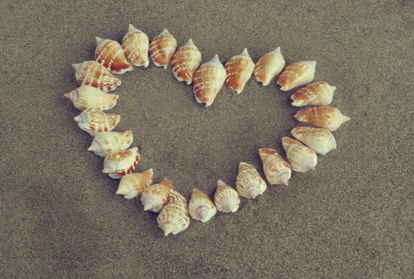 Heart made of shells on sand — Stock Photo, Image