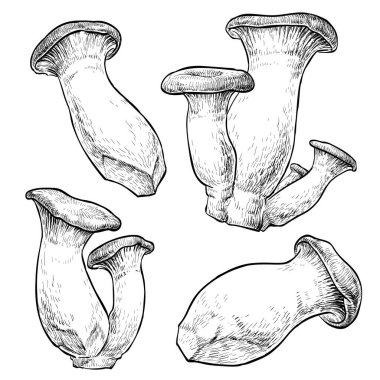 mantarlar siyah ve beyaz vektör çizimi 