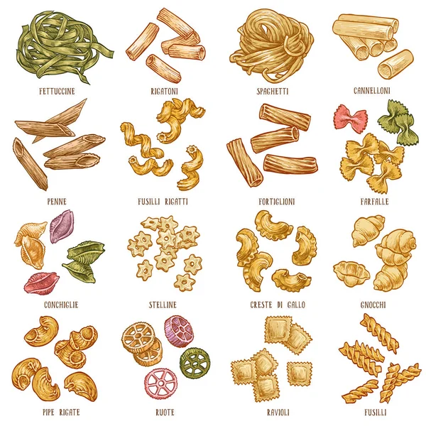Italian Pasta Variety Vector Illustration — Stock Vector