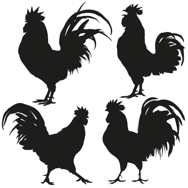 黑色背景上的一组公鸡 — 图库矢量图片#
