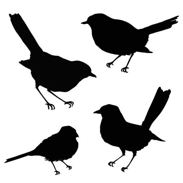 Sylwetki ptaków - duży zestaw — Wektor stockowy