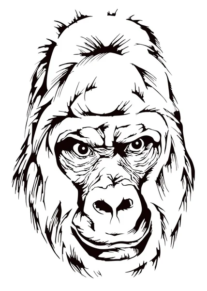 Goril maymun maskot — Stok Vektör