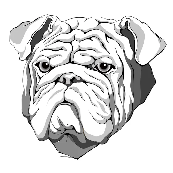 Bulldog Hipster. cão desenhado à mão —  Vetores de Stock