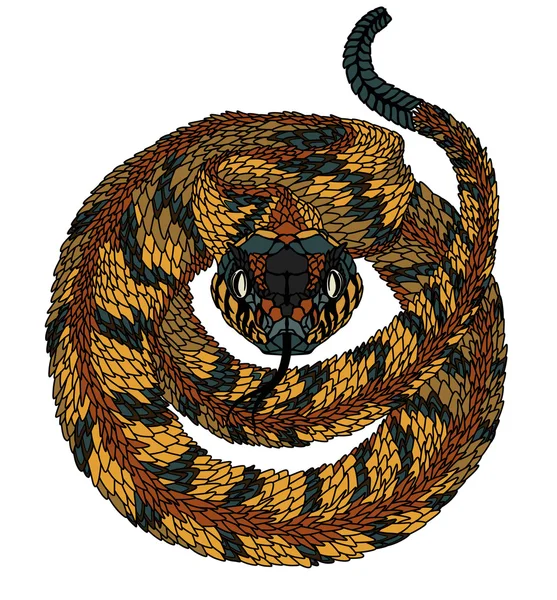 Schlangenpsychedelisch. Illustration — Stockvektor