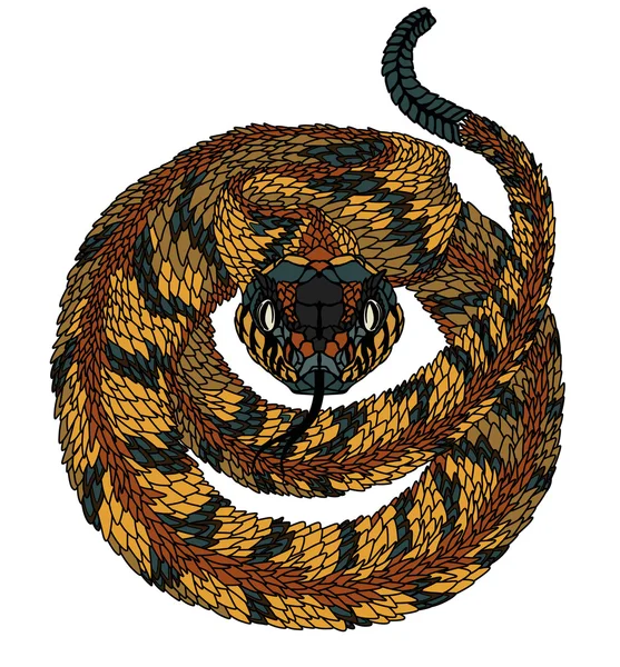 Serpiente psicodélica. ilustración — Vector de stock