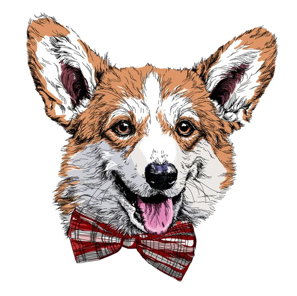 Pembroke divertido perro corgi galés . — Vector de stock