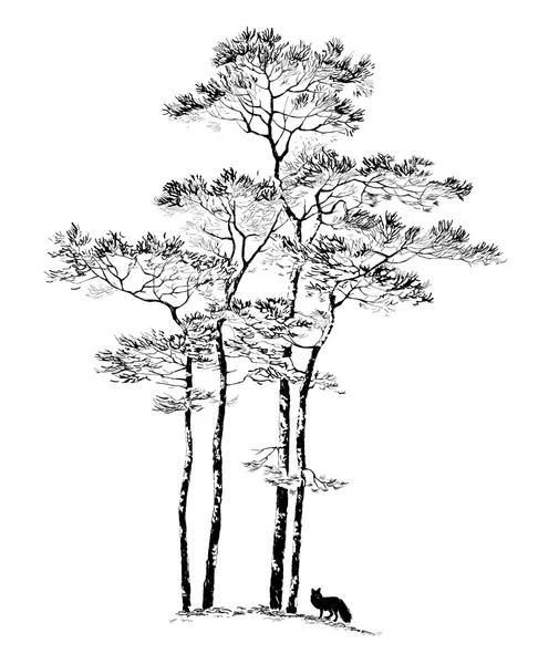 Aquarelle pin dessiné à la main — Image vectorielle