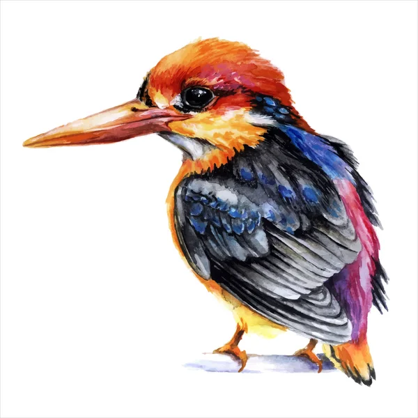 Aquarelle style petit martin pêcheur oiseau — Image vectorielle