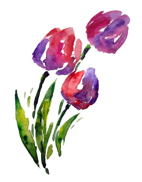 TULIPS, watercolor painting — Stock Vector